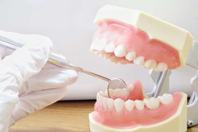 歯周外科や再生療法などの専門的な治療も行われている？